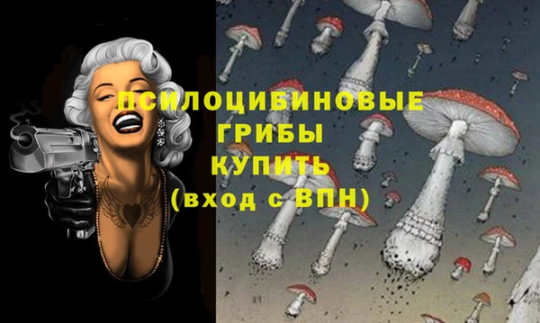 mix Абинск