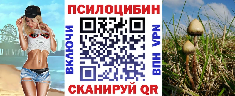ОМГ ОМГ как зайти  Ладушкин  Псилоцибиновые грибы мухоморы 