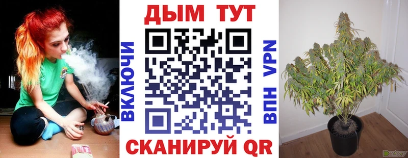 что такое наркотик  Ладушкин  Канабис Bruce Banner 